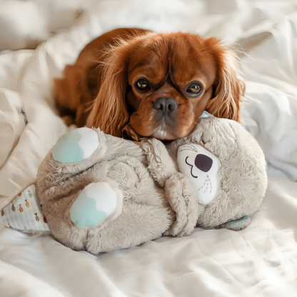 CALMING SNUGGLE PET BUDDY™