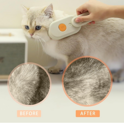 Pet Steam Brush