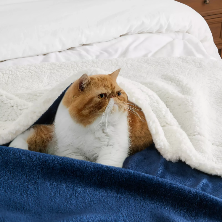 Deluxe Sherpa Flannel Fleece Blanket | Ultra Soft &amp; Warm